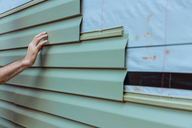 Best Fascia and Soffit Installation  in Desloge, MO